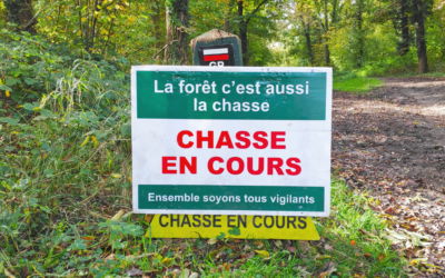 Survivre avec son chien en période de chasse