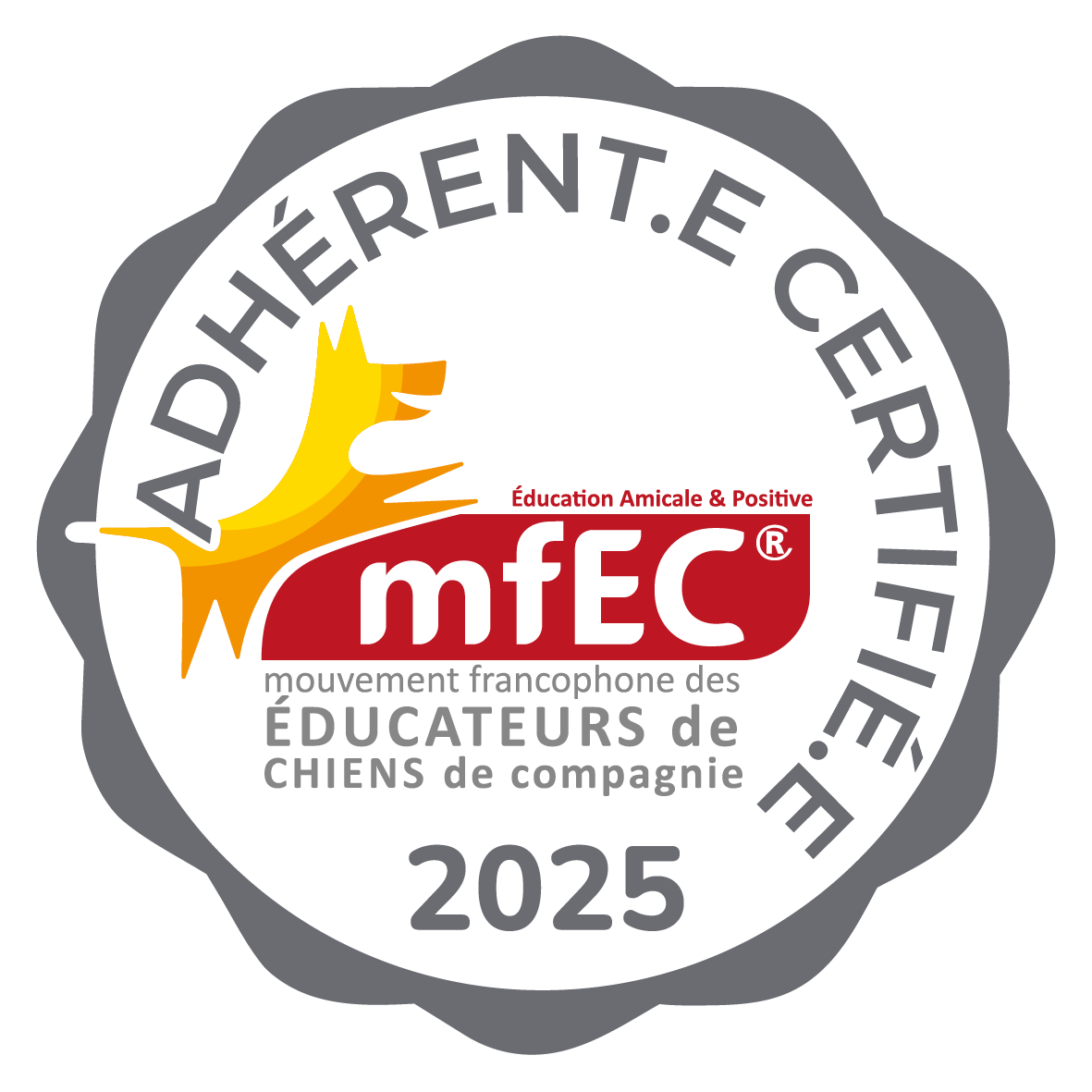 mfec 2025