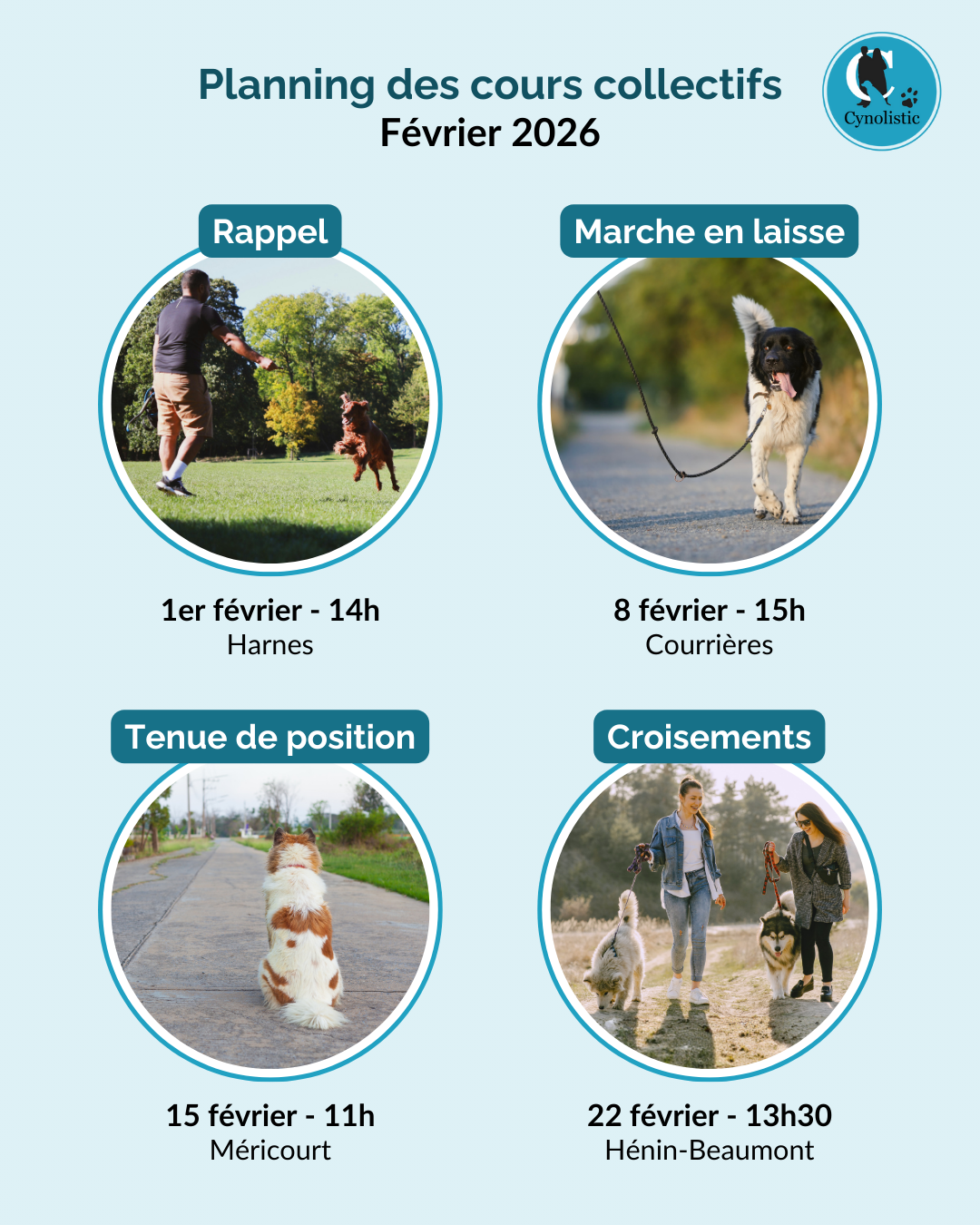 Cours collectif chiens Cynolistic