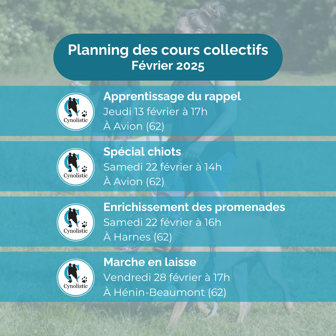 Planning des cours - Février 2025