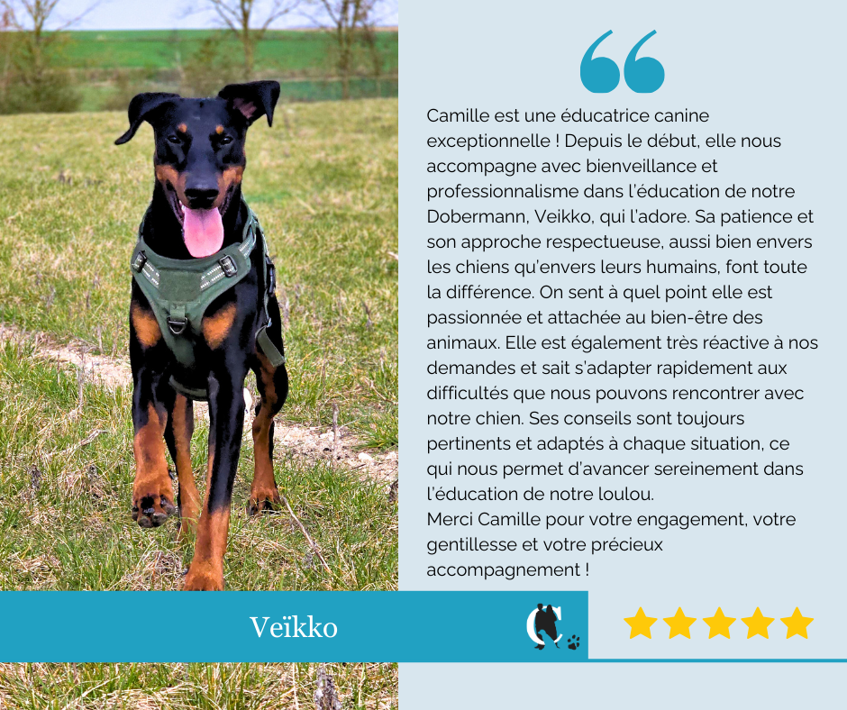 Avis client Cynolistic
